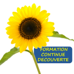seminaire PI particuliers